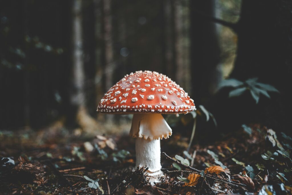 Hello World Featured Image