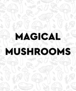 Magic Mushrooms