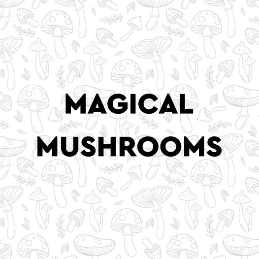 Magic Mushrooms