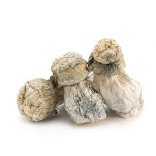 Albino Penis Envy – APE